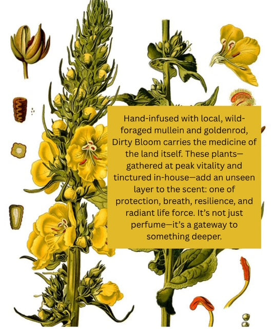 Dirty Bloom - Natural Fragrance