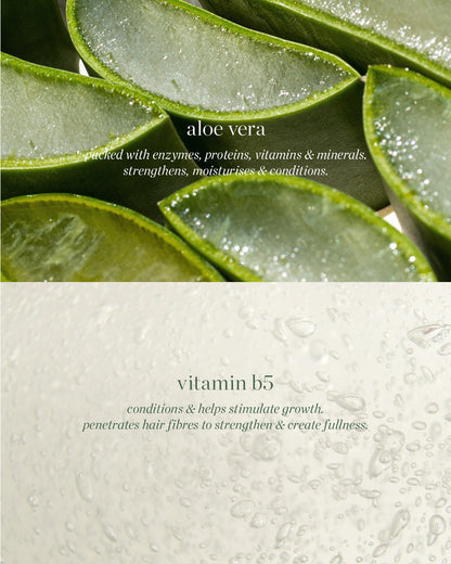 ALOE LASH & BROW MASCARA BY EREZ PEREZ