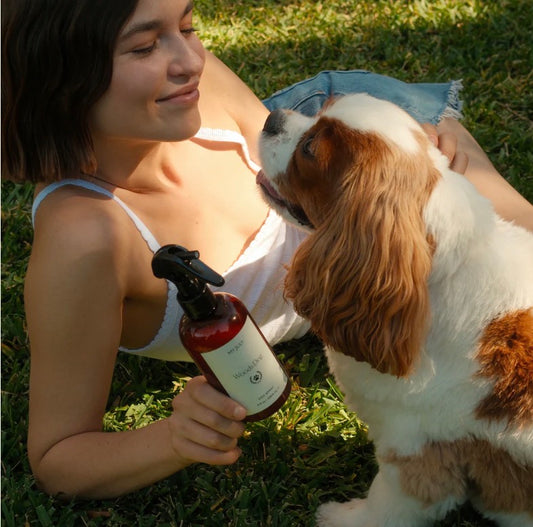 MY JULY SKIN WOODS DOGS SPRAY
